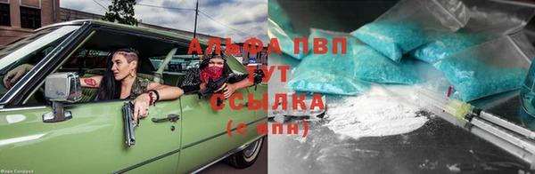 индика Аркадак