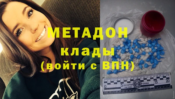 индика Аркадак