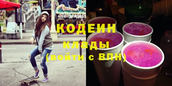 индика Аркадак