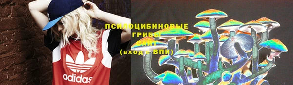 индика Аркадак
