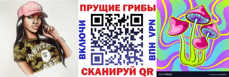 как найти закладки Канаш Псилоцибиновые грибы MAGIC MUSHROOMS